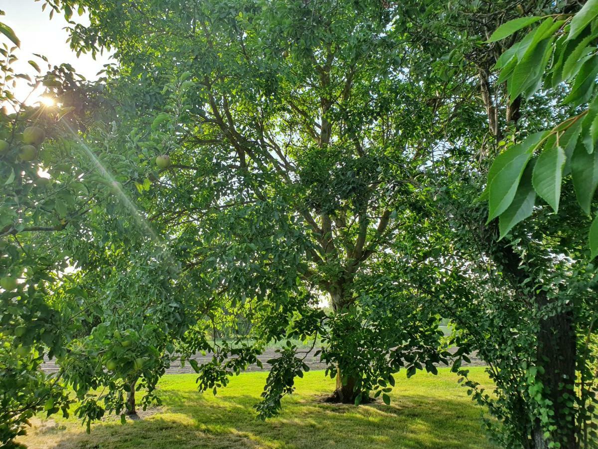 "Au Jardin Sur L'Eau" Hortillonnages Bed & Breakfast อาเมียงส์ ภายนอก รูปภาพ