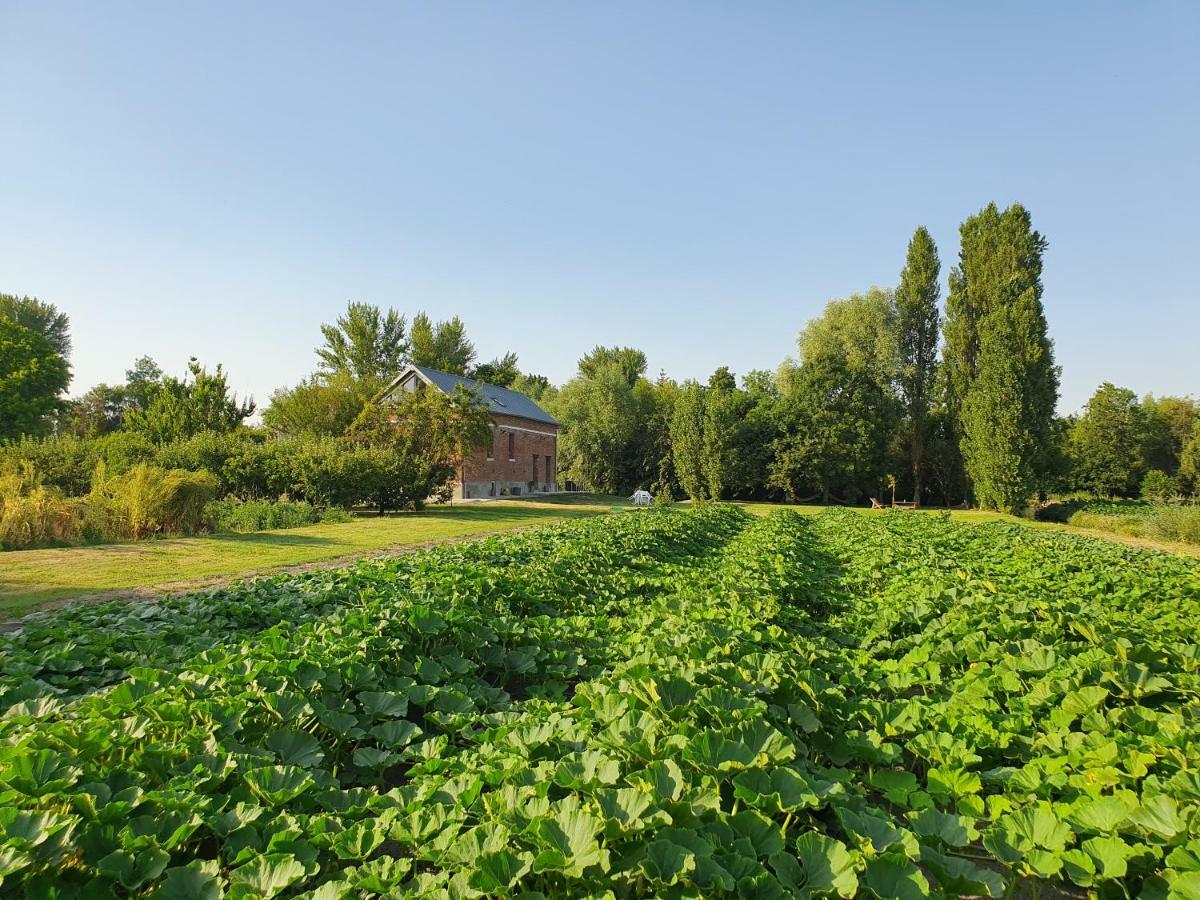 "Au Jardin Sur L'Eau" Hortillonnages Bed & Breakfast อาเมียงส์ ภายนอก รูปภาพ